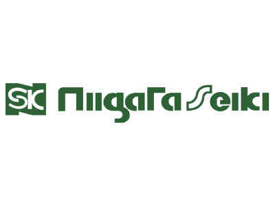 Niigata Seiki